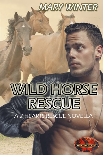 wild-horse-rescue.jpg